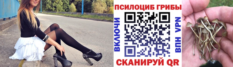 Псилоцибиновые грибы Psilocybe  кракен ссылки  сайты даркнета как зайти  Рузаевка 